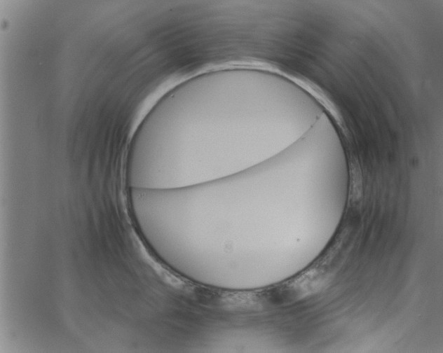 X0000066541006200603311840