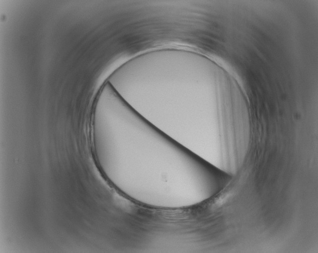 X0000066541007200603311840