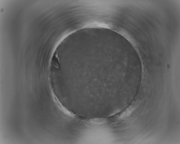 X0000066541008200603311840