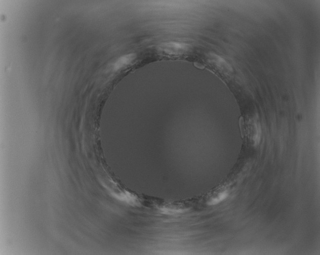 X0000066541009200603311839