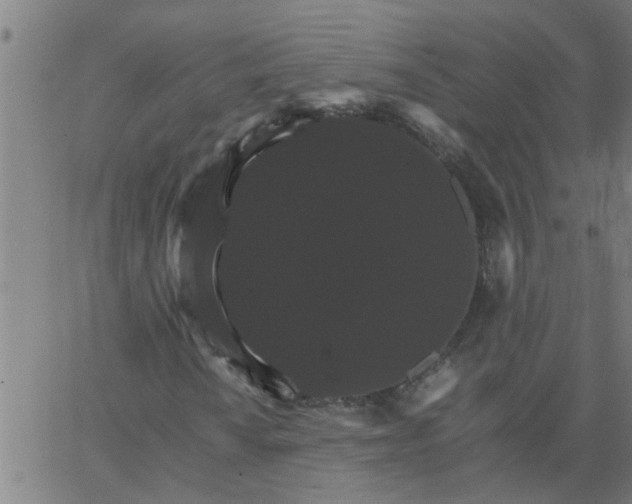 X0000066541010200603311839