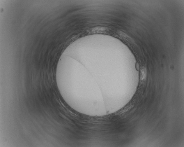 X0000066541011200603311839