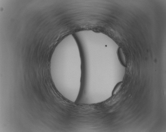 X0000066541012200603311839