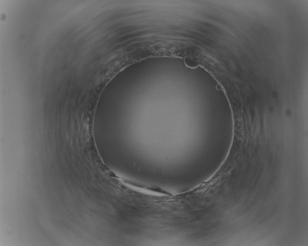 X0000066541013200603311839