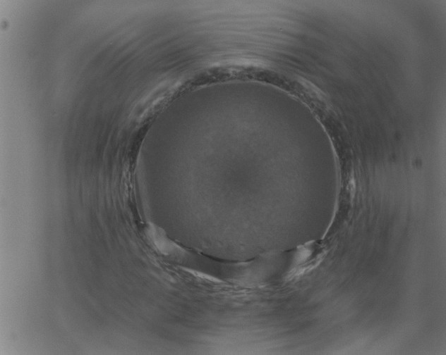 X0000066541014200603311839