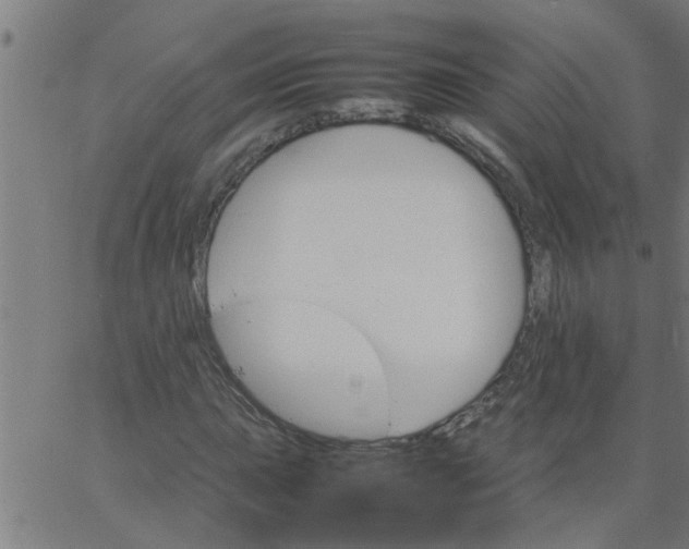 X0000066541015200603311839