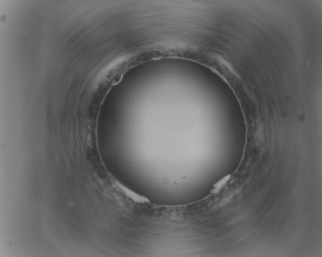 X0000066541016200603311839