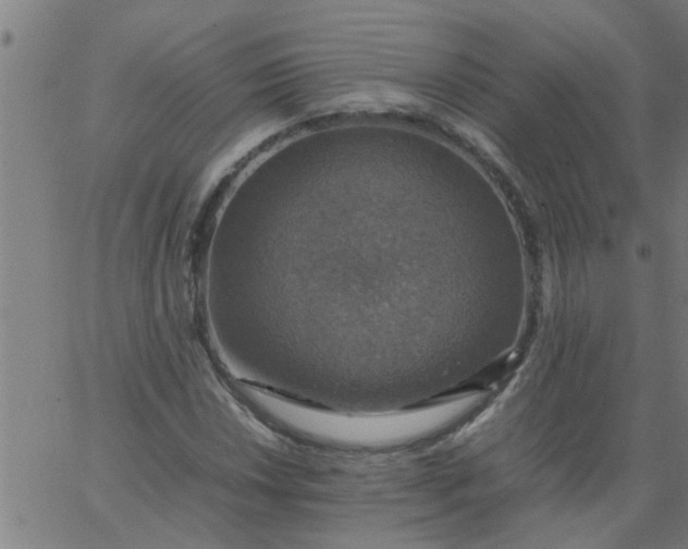 X0000066541018200603311840