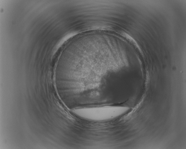 X0000066541019200603311840