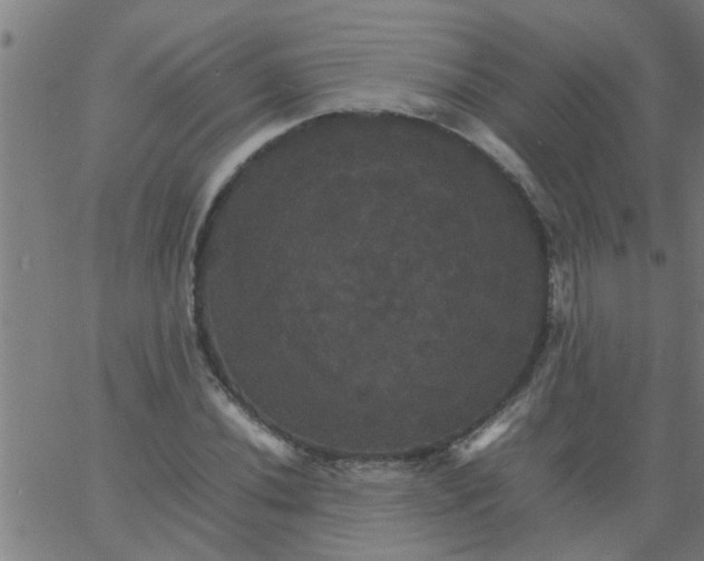 X0000066541020200603311840