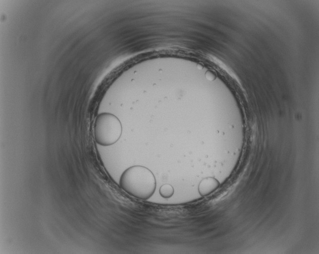 X0000066541021200603311840