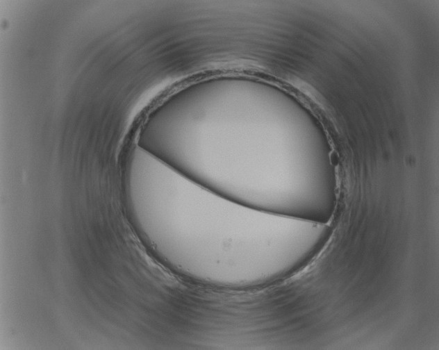 X0000066541022200603311840