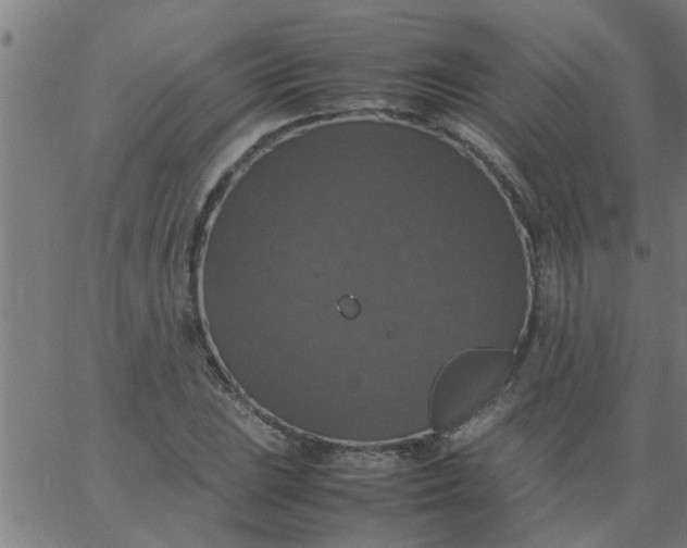 X0000066541023200603311840