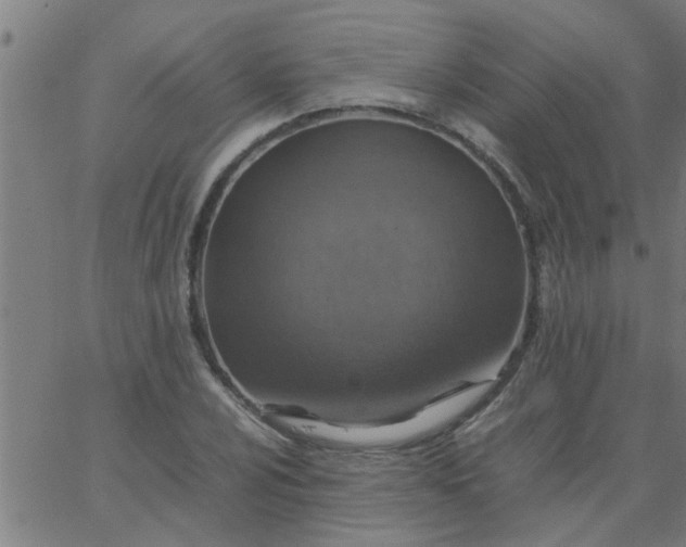 X0000066541024200603311840