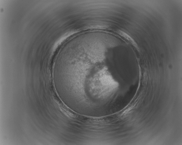 X0000066541027200603311840