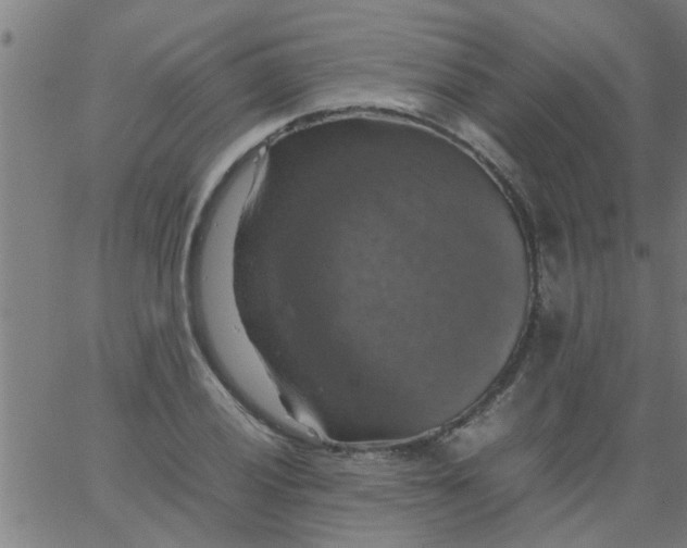 X0000066541028200603311840