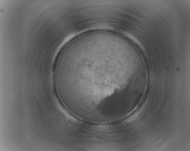 X0000066541029200603311840