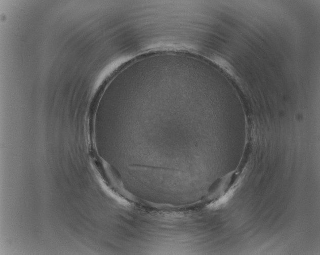 X0000066541030200603311840