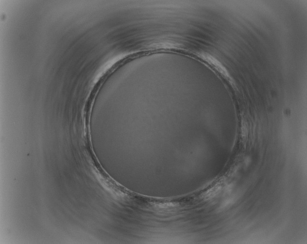 X0000066541031200603311840