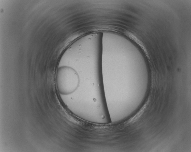 X0000066541033200603311840