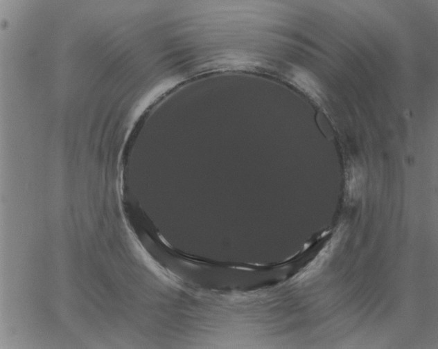 X0000066541034200603311840