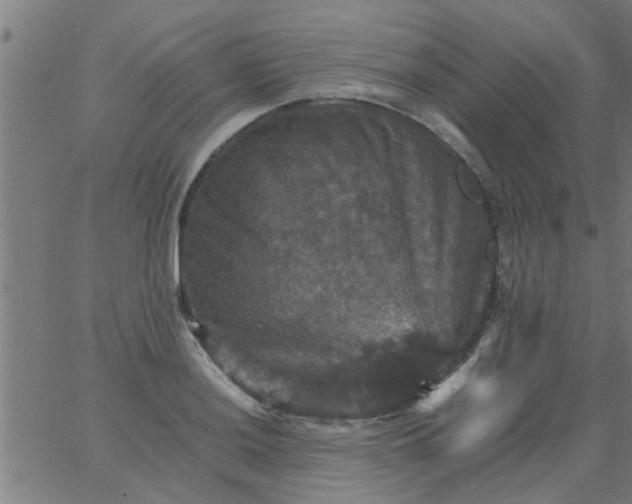 X0000066541036200603311840