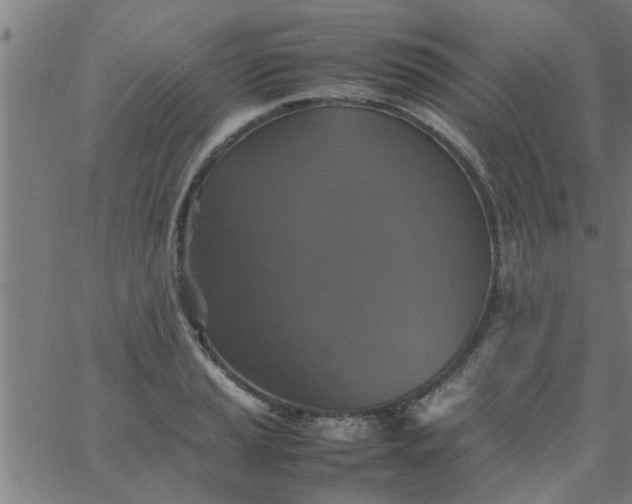 X0000066541037200603311840