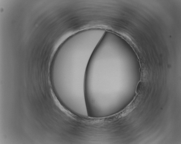 X0000066541038200603311840