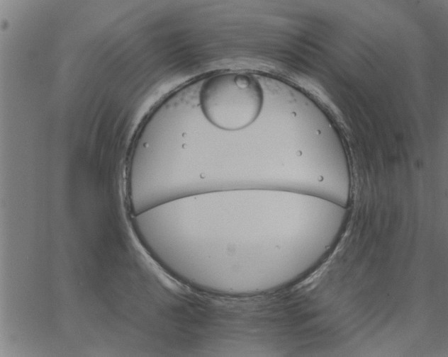 X0000066541040200603311840