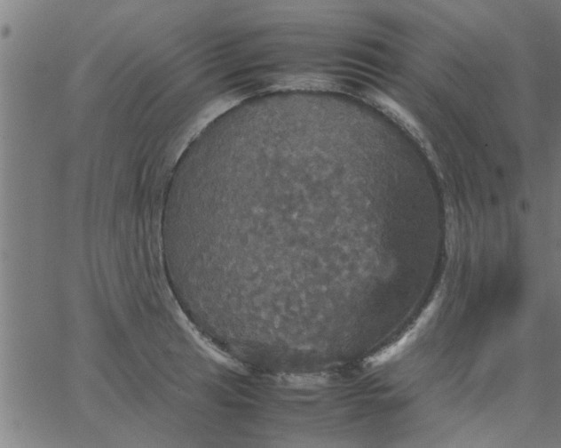 X0000066541041200603311840