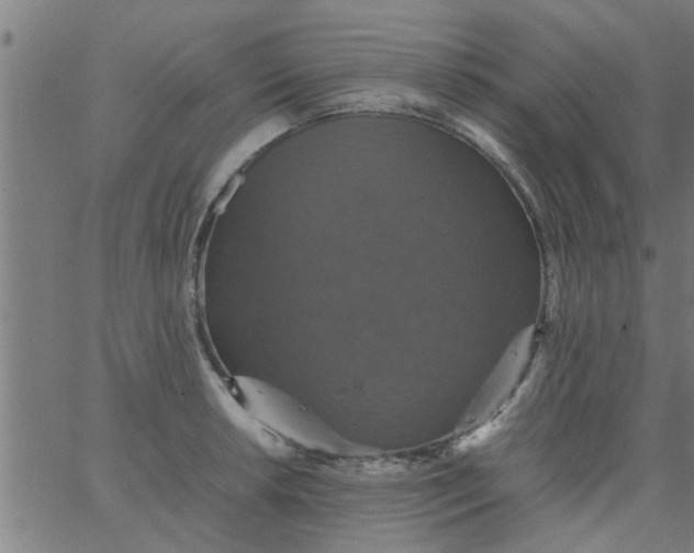 X0000066541042200603311840