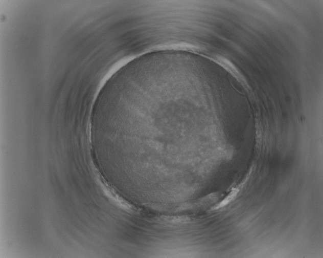 X0000066541044200603311840