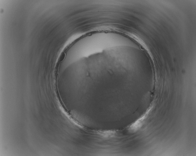 X0000066541045200603311840