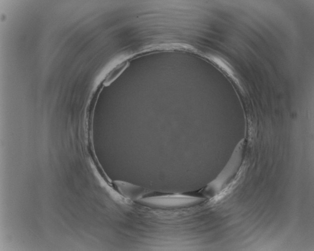 X0000066541046200603311840