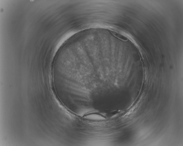 X0000066541048200603311840