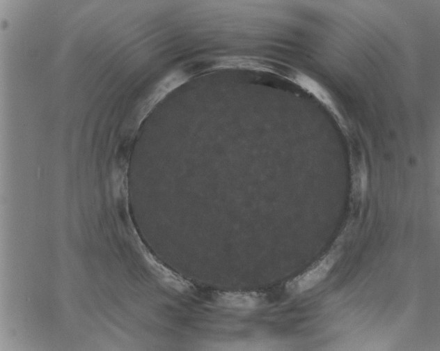 X0000066541049200603311840