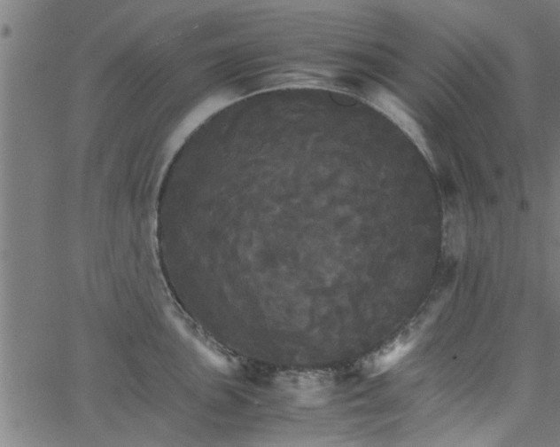 X0000066541051200603311840