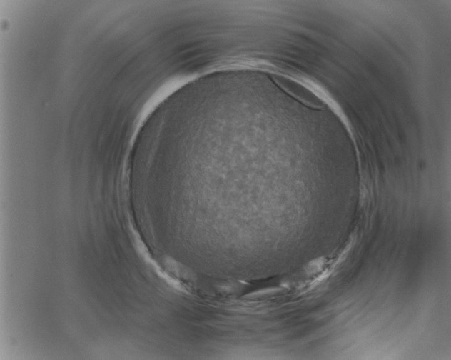 X0000066541053200603311840