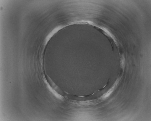 X0000066541054200603311840