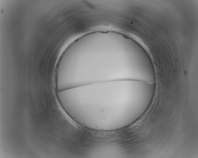 X0000066541056200603311840