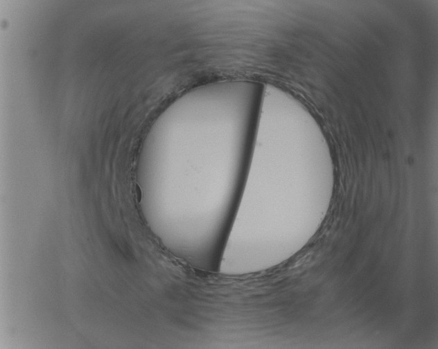 X0000066541057200603311839