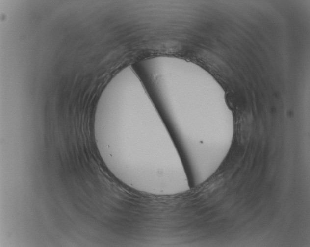 X0000066541058200603311839