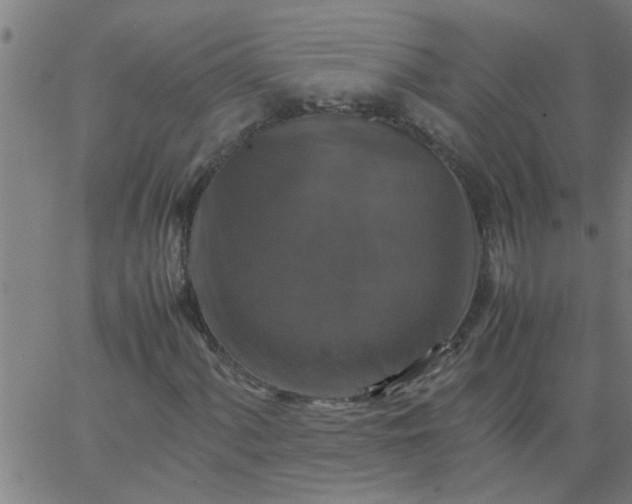 X0000066541060200603311839