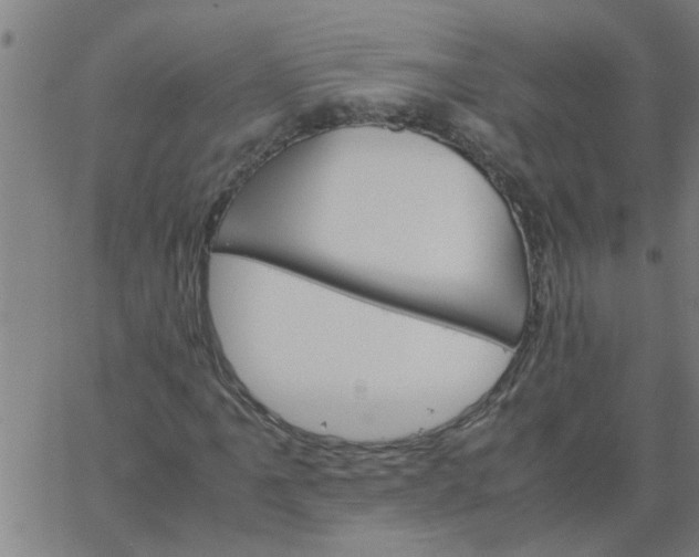 X0000066541061200603311839