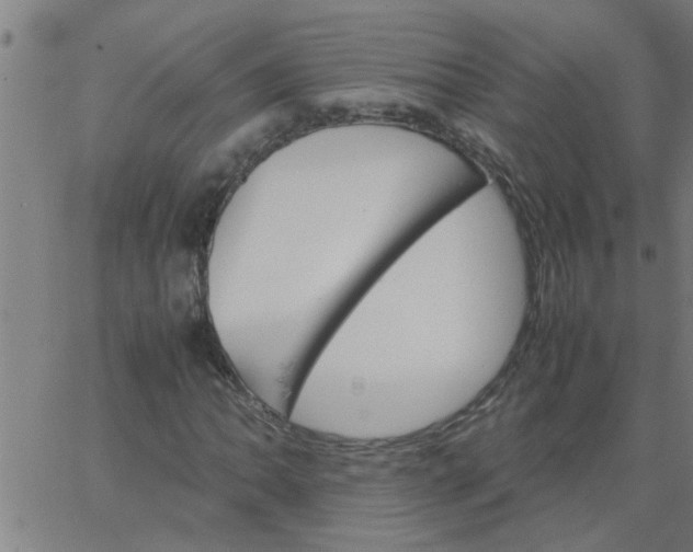 X0000066541062200603311839