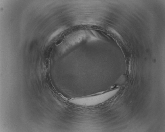 X0000066541064200603311839