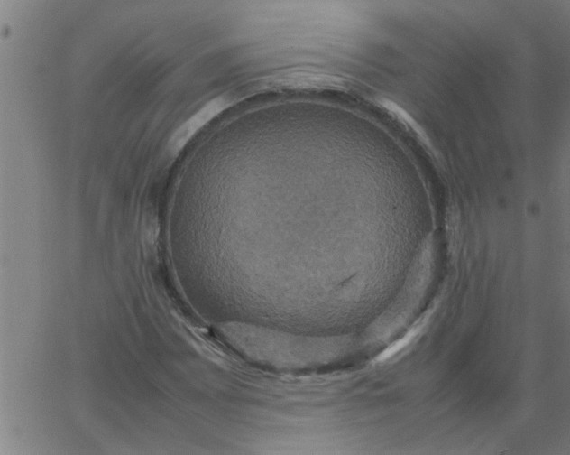 X0000066541065200603311839