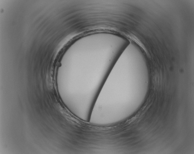 X0000066541068200603311839