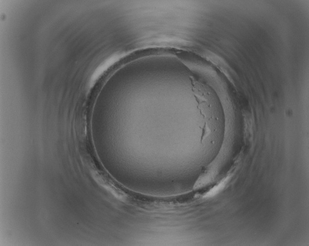 X0000066541069200603311839