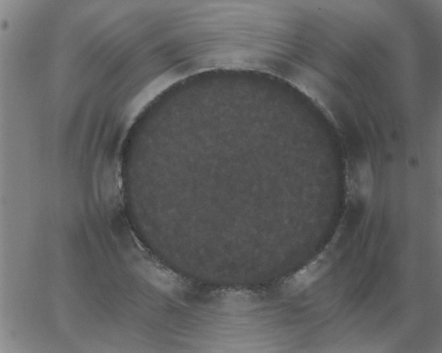 X0000066541070200603311839